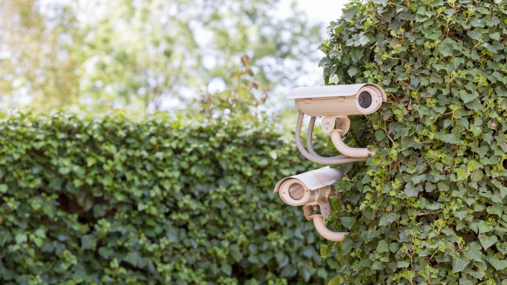 Two security cameras with housing