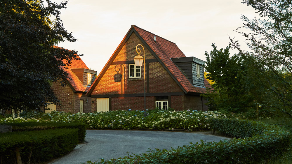 Beautiful scene of houses surrounded by trees