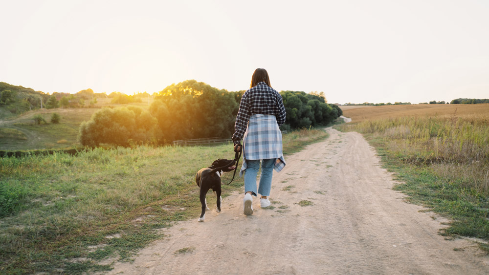 Dog and teen girl going for walking