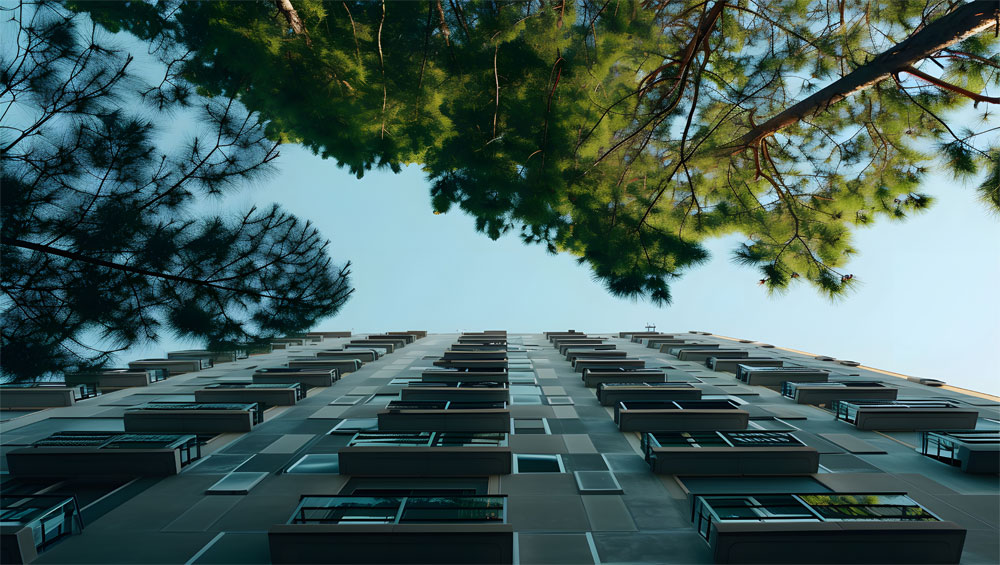 Building with nature view