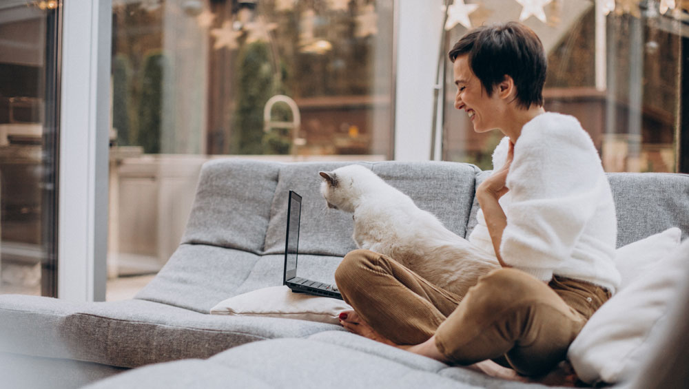 Relaxed cat lounging on sofa in condo