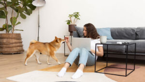 Cozy home life with a pet