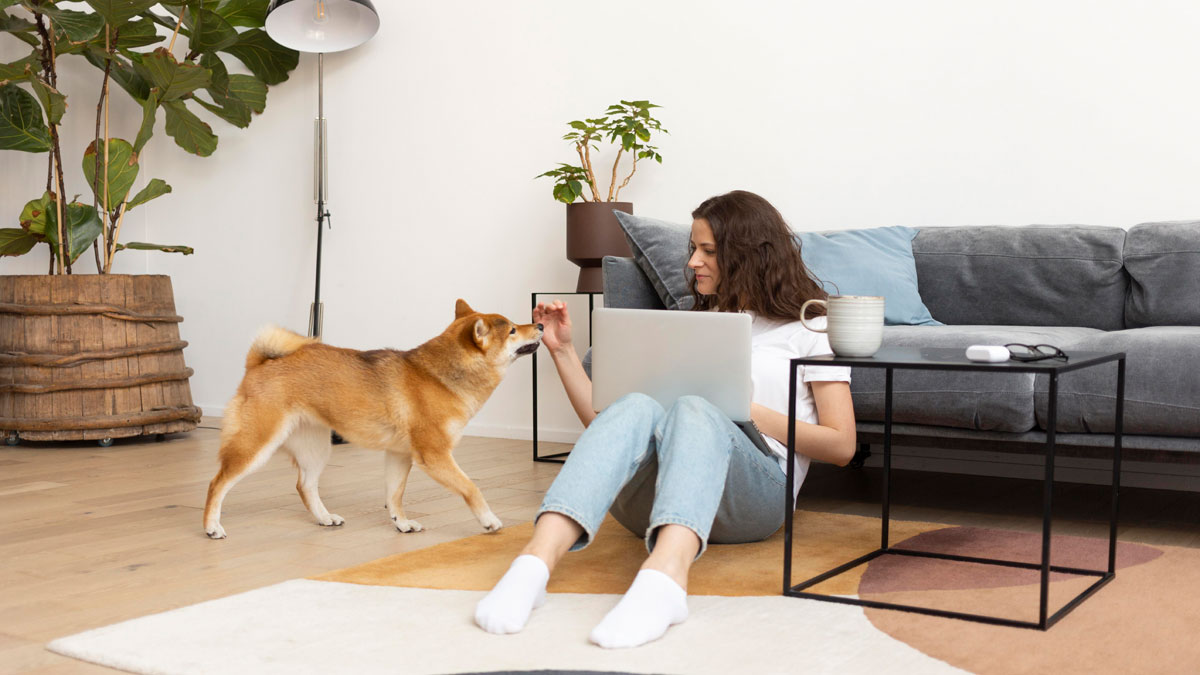 Condo Living with Pets: What You Need to Know