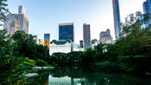 High-rise Central Park condo building