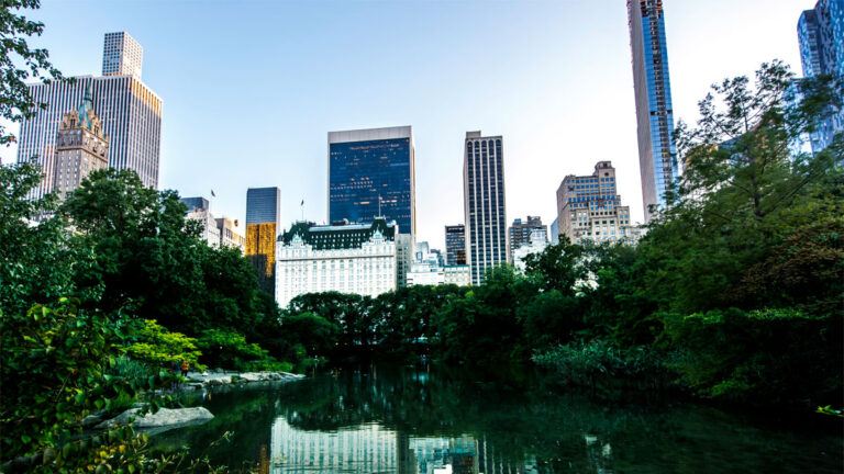High-rise Central Park condo building