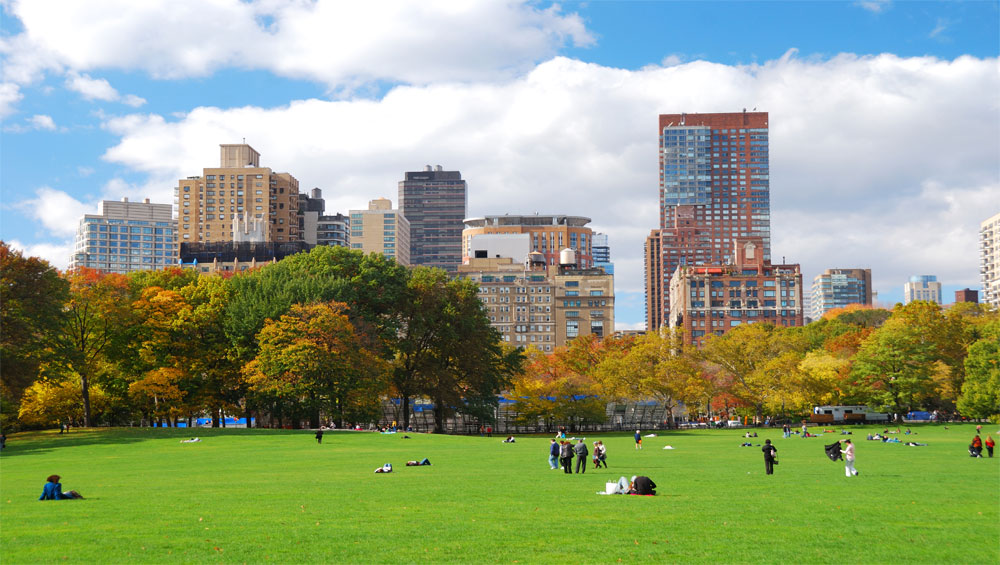Central Park condo perfect for young buyers